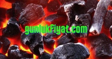 Bim Mangal Kömürü Fiyatı