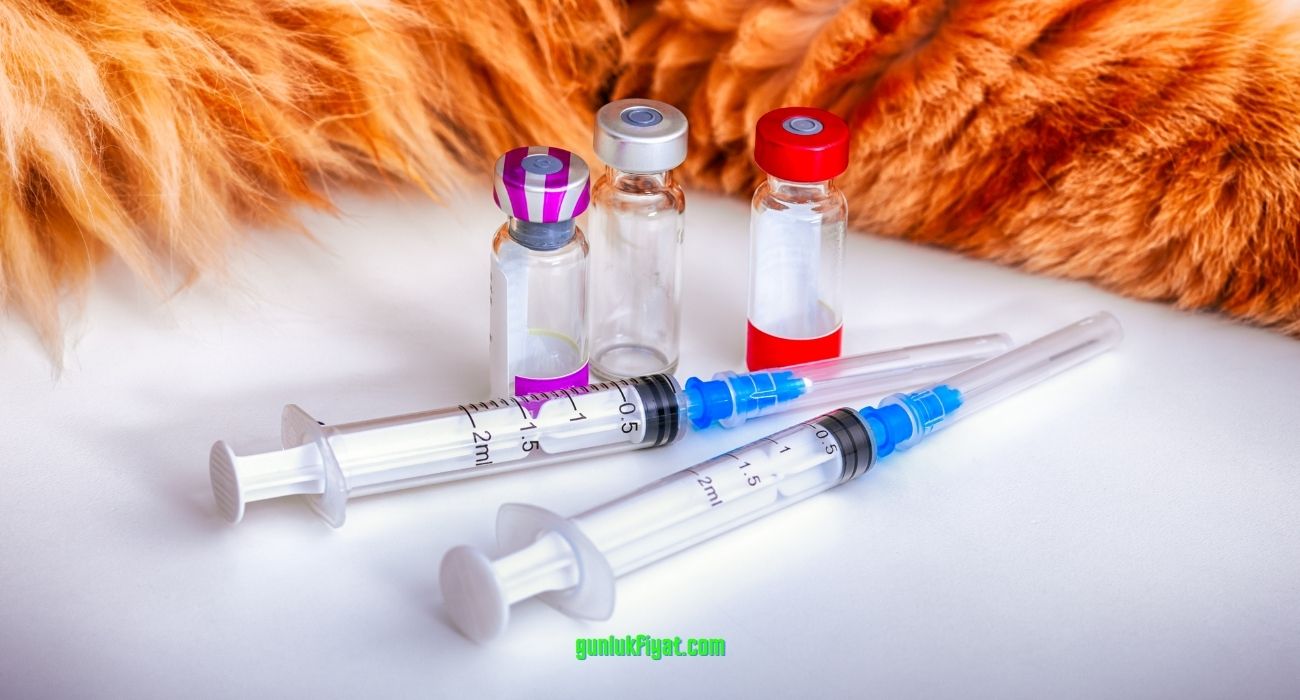 Kedi iç dış parazit aşısı fiyatı 2022